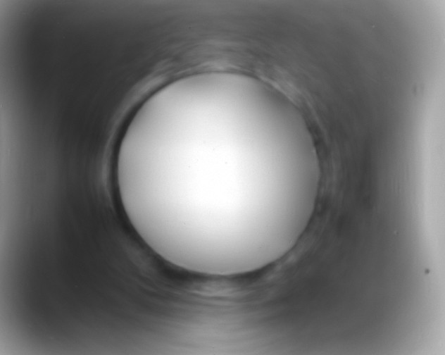 X0000088130104200706041326