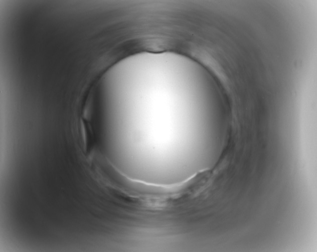 X0000088130105200706041326