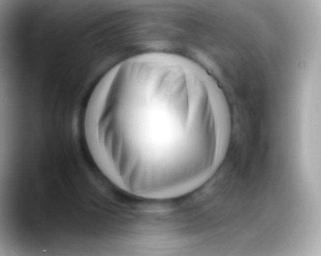 X0000088130106200706041326