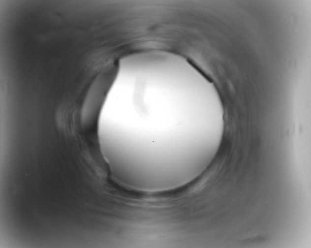 X0000088130109200706041326