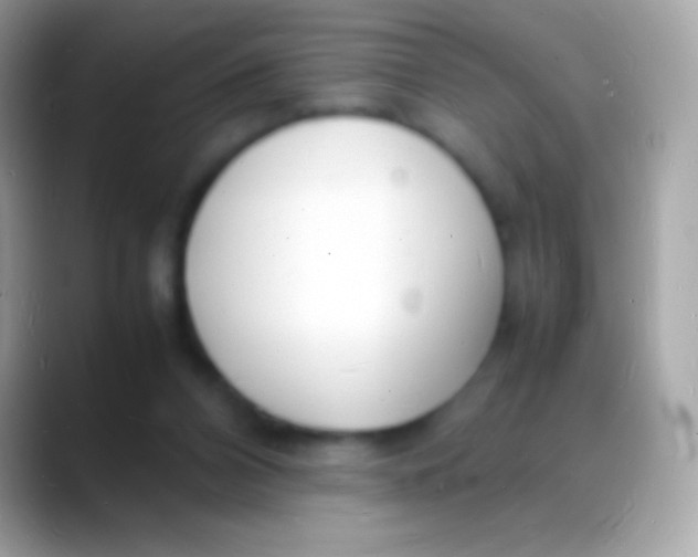 X0000088130112200706041326