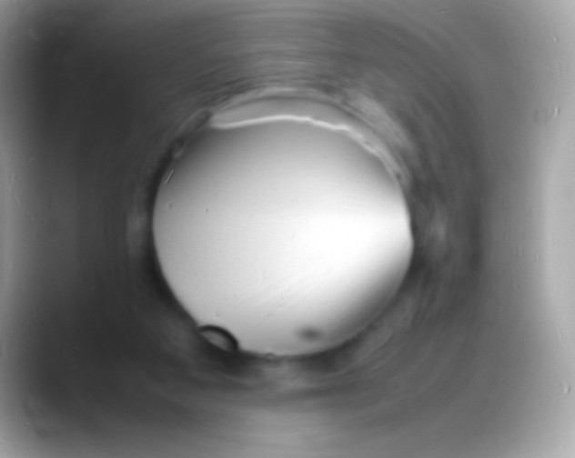 X0000088130113200706041326