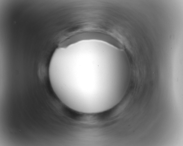 X0000088130117200706041326