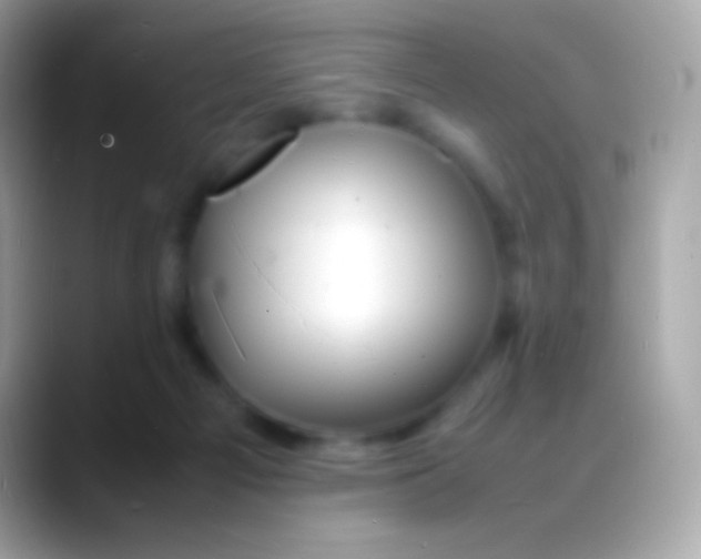 X0000088130121200706041326