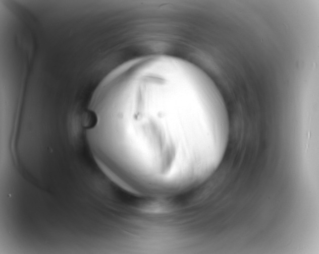 X0000088130122200706041326