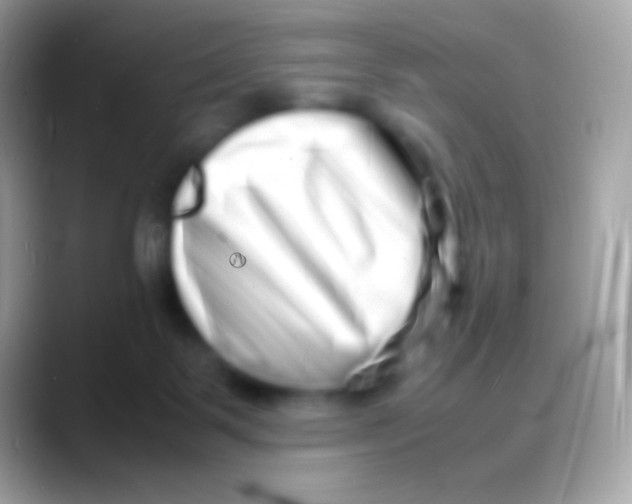 X0000088130123200706041326