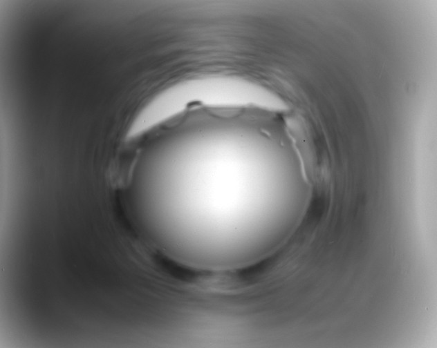 X0000088130125200706041326