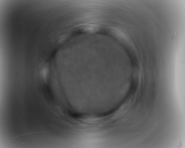 X0000088130127200706041326