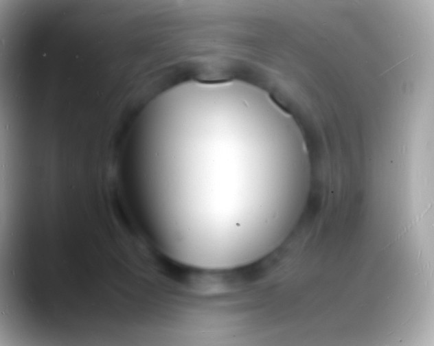 X0000088130129200706041326