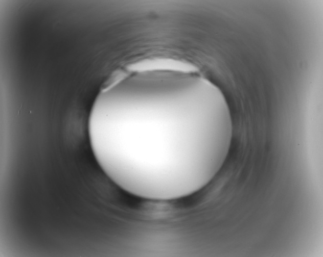 X0000088130133200706041326