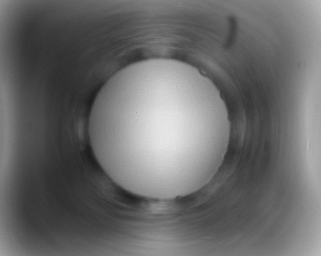 X0000088130134200706041326