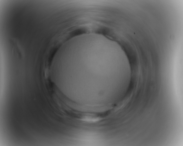 X0000088130137200706041326