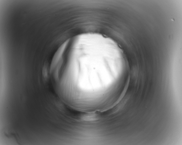 X0000088130138200706041326