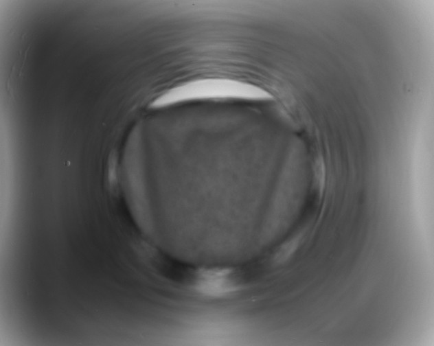 X0000088130143200706041326