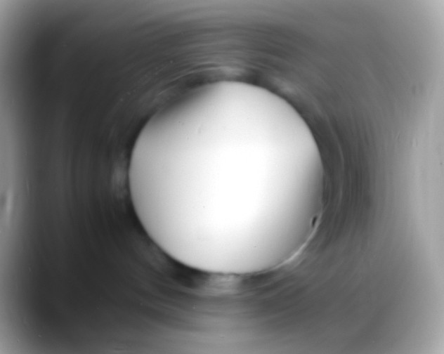 X0000088130144200706041326