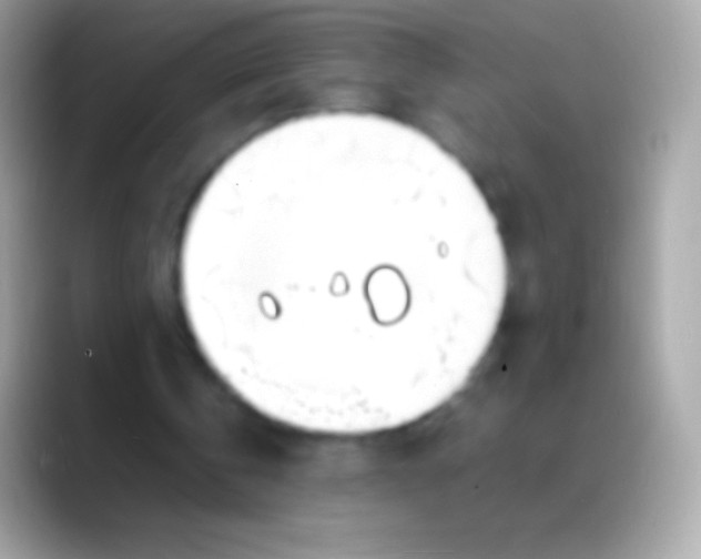 X0000088130146200706041325