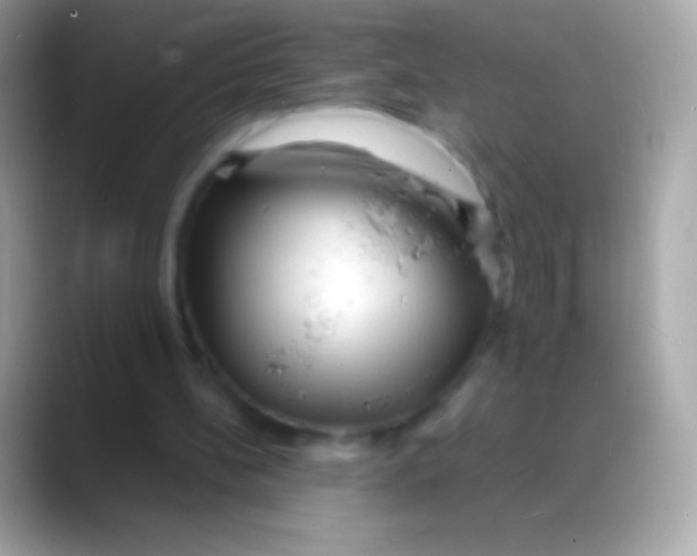 X0000088130148200706041325