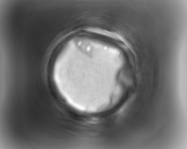 X0000088130151200706041325