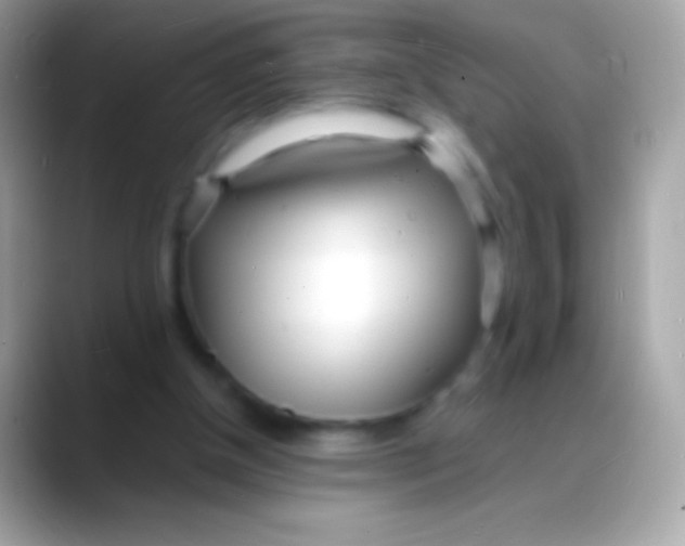 X0000088130154200706041325