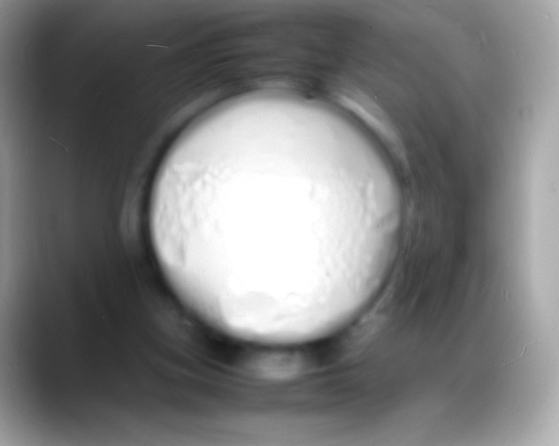 X0000088130155200706041325