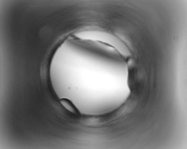 X0000088130156200706041325