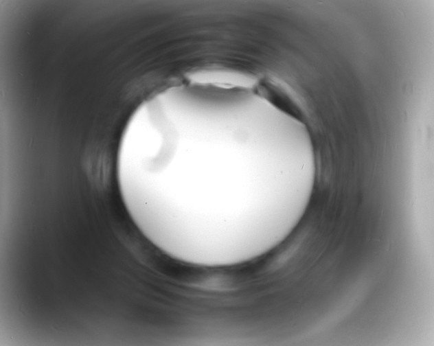 X0000088130157200706041325