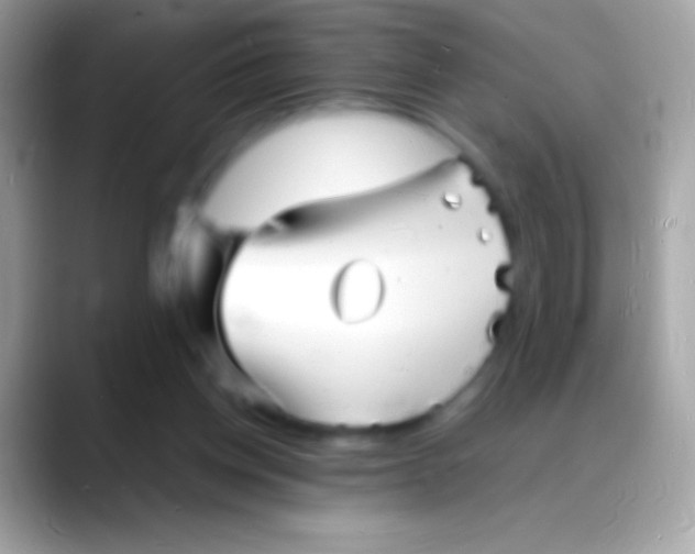 X0000088130158200706041325