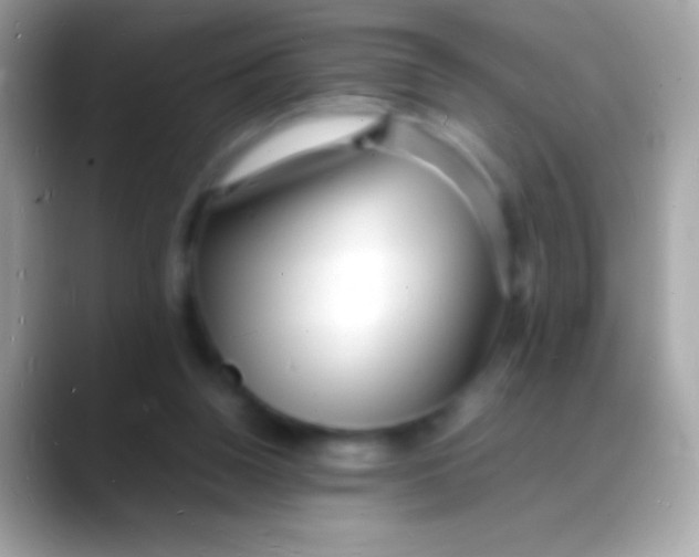 X0000088130160200706041325