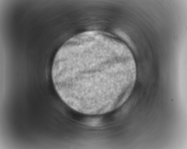 X0000088130161200706041325