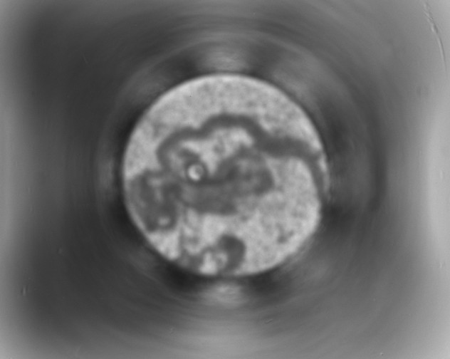 X0000088130162200706041325