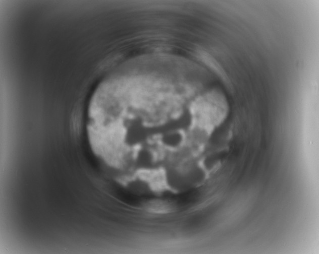 X0000088130163200706041325