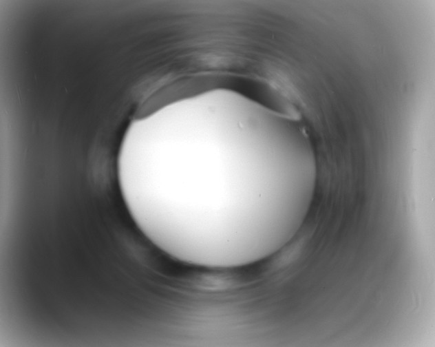 X0000088130164200706041325