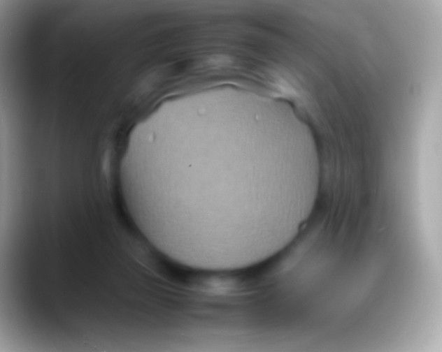 X0000088130165200706041325