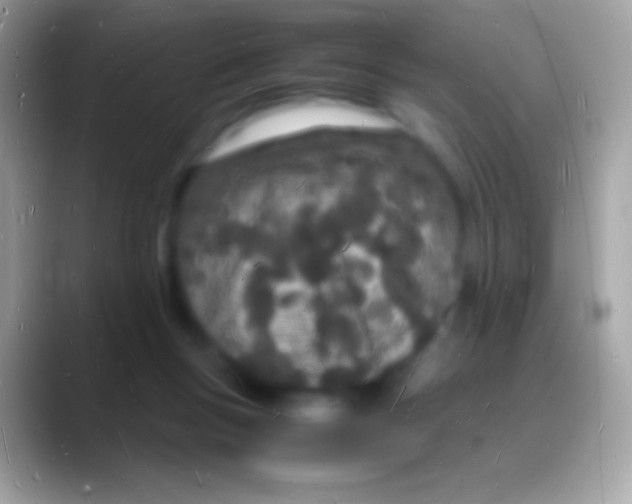 X0000088130167200706041325