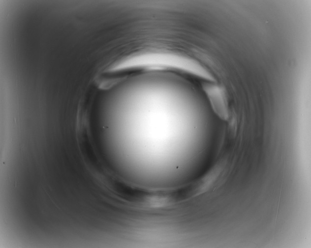 X0000088130168200706041325