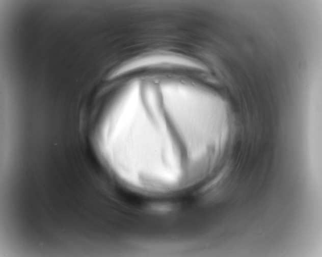 X0000088130171200706041325