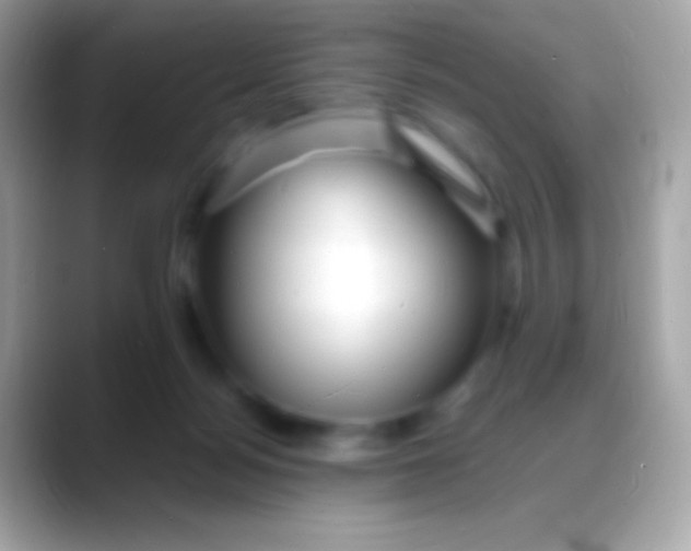 X0000088130172200706041325