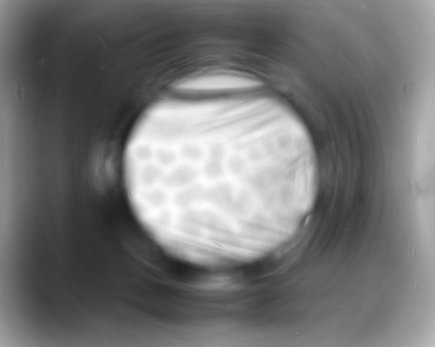 X0000088130175200706041325