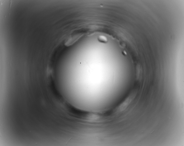 X0000088130176200706041325