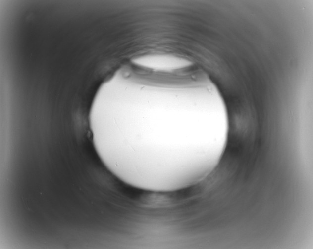 X0000088130180200706041325