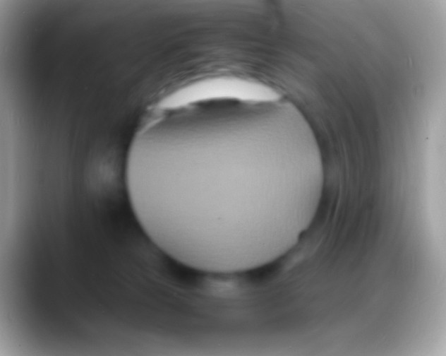 X0000088130181200706041325