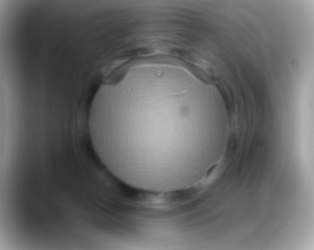 X0000088130182200706041325