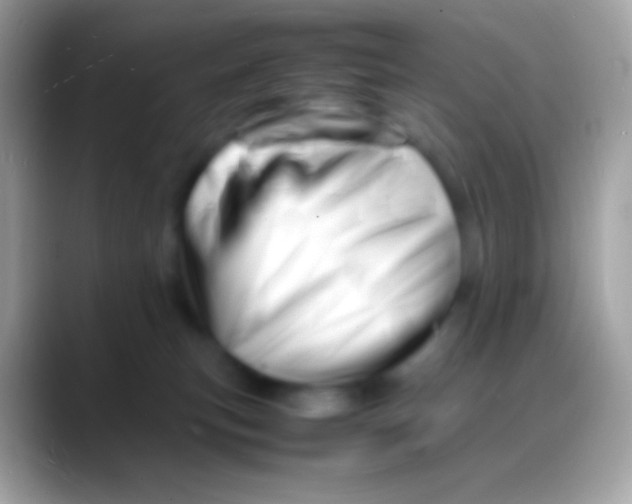 X0000088130183200706041325