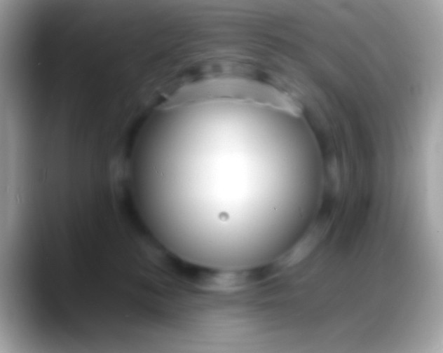 X0000088130184200706041325