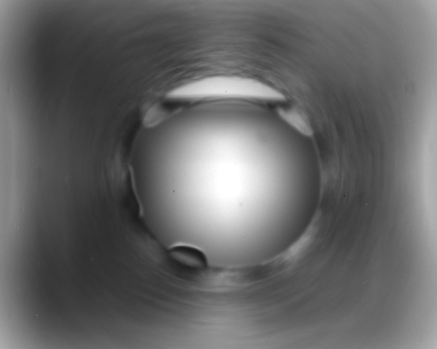 X0000088130186200706041326