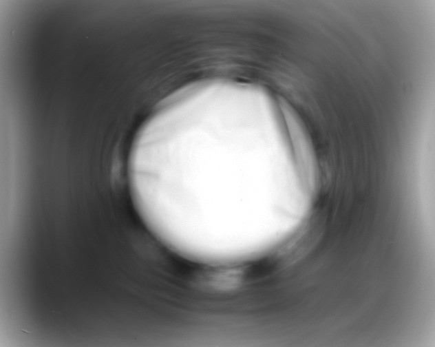 X0000088130187200706041326