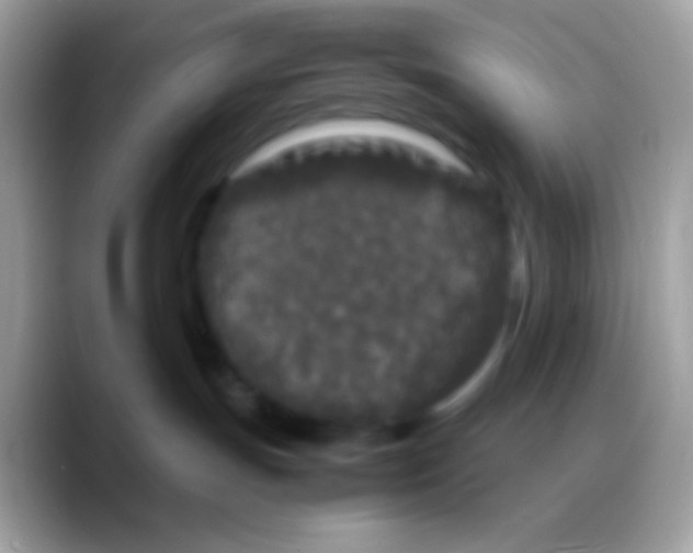 X0000088130191200706041326