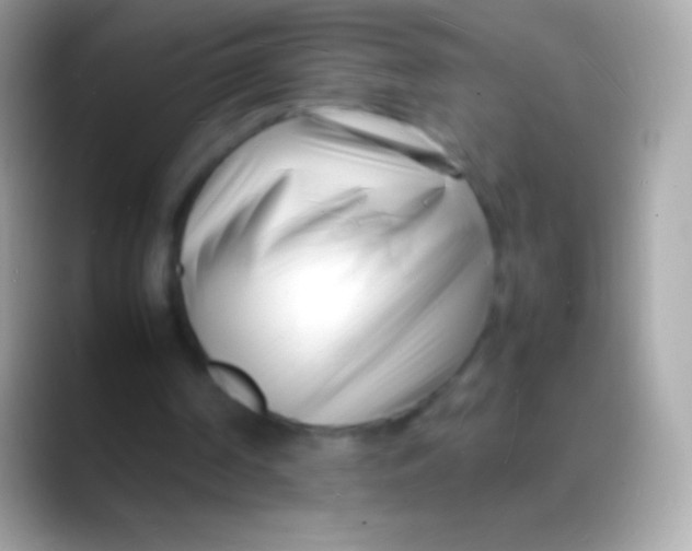 X0000088130194200706041325