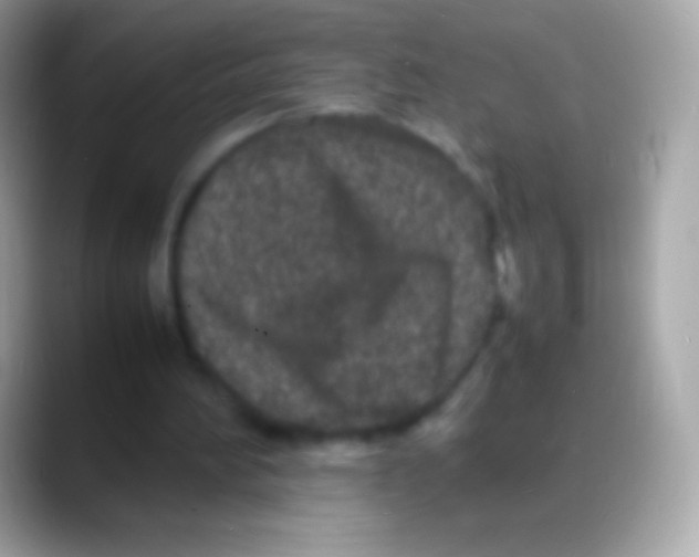 X0000088130196200706041325