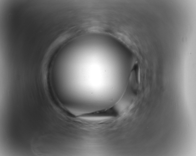 X0000088130197200706041325